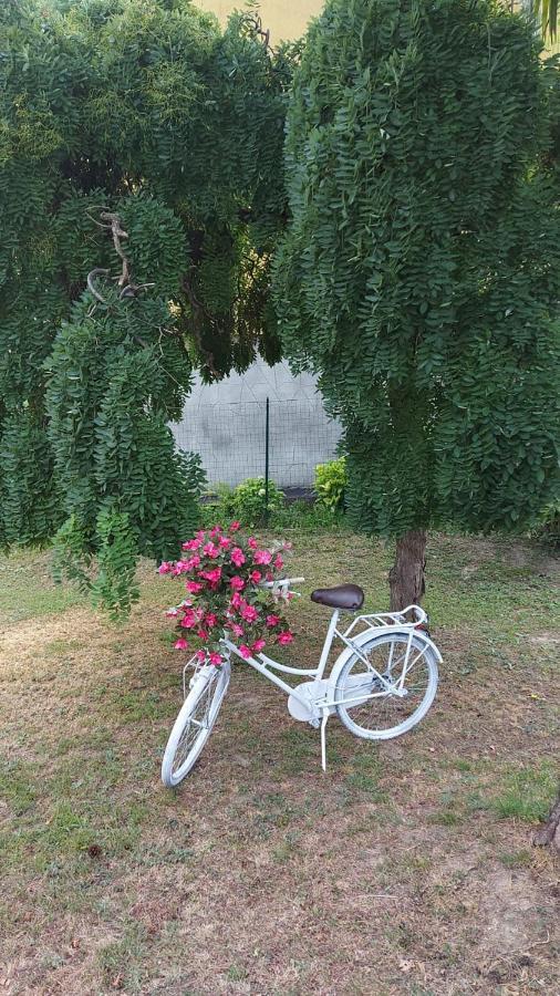 Casa Dell'Agrifoglio Hotel Caselette Kültér fotó